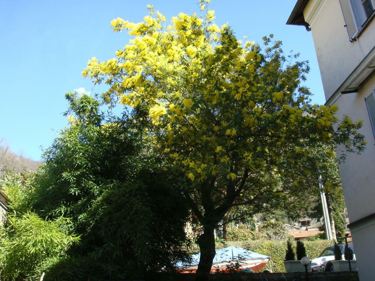 Villa Cardano Maccagno Close To Every Destination Exterior foto